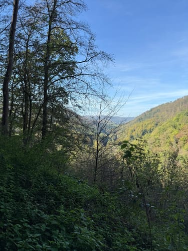 Laubach Wasserfall via Altwied und Melsbach