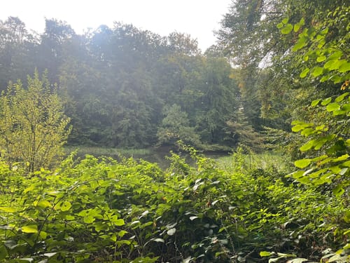 Von Bad Mahlente-Gremsmühlen zum Dodauer See