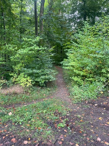 Von Bad Mahlente-Gremsmühlen zum Dodauer See