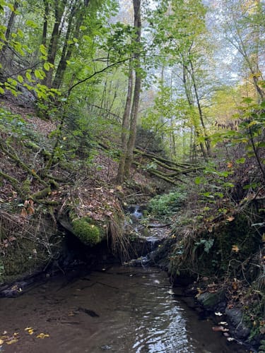 Auf Kurzem Weg durch die Baybachklamm