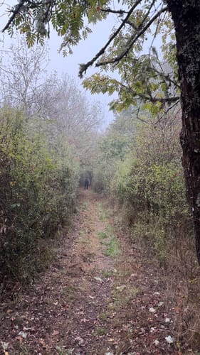 Teufelstour (Premiumwanderweg)