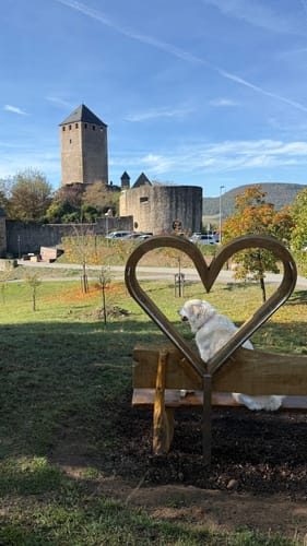 Veldenz Wanderweg: Burg Lichtenberg - Kusel