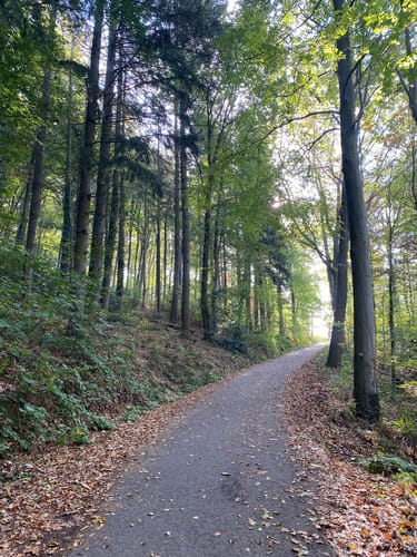 Rundweg zur Bismarcksäule, Thingstätte und zum Sankt Michaelskloster