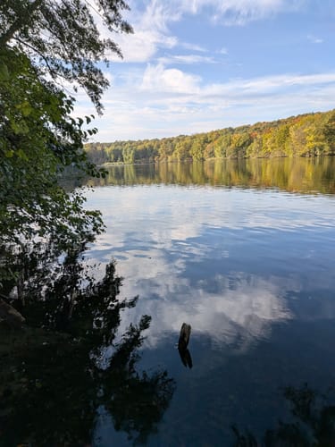 Schlachtensee-Runde