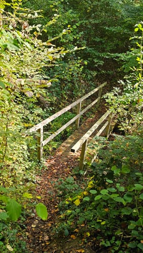 Weiselberg-Gipfeltour (Premiumwanderweg)