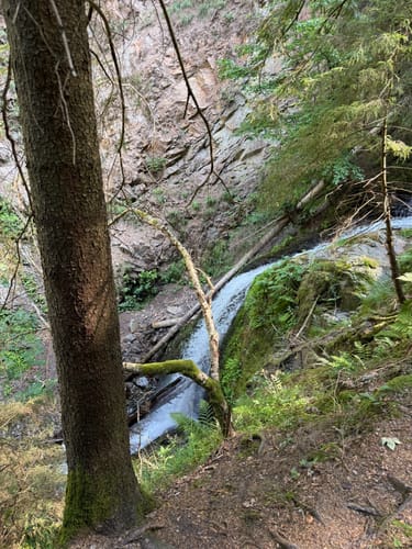 Der Ravennaschlucht Weg