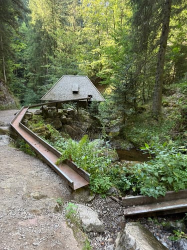 Der Ravennaschlucht Weg