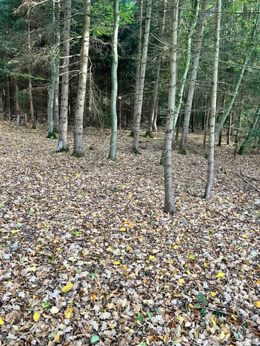 Rund um den Bucher Stausee