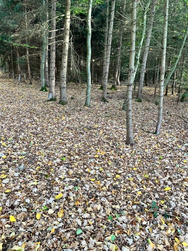 Rund um den Bucher Stausee