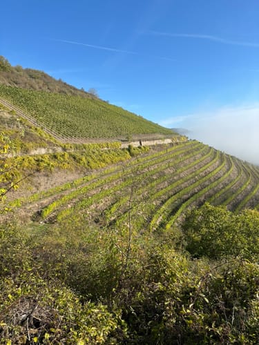 Cochem - Seits-Kapelle - Pinnerkreuz