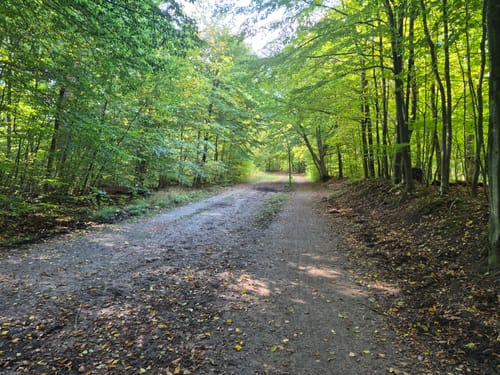 Ohlstedt - Wohldorfer Wald - Duvenstedter Brook