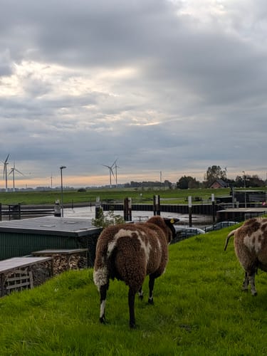 Aus Husum zum Nordstrand
