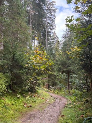 Hinterzarten und Ravennaschlucht