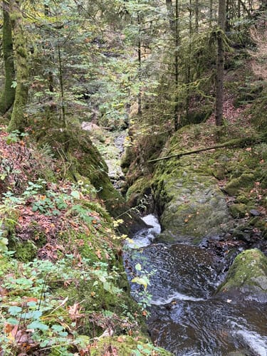 Hinterzarten und Ravennaschlucht