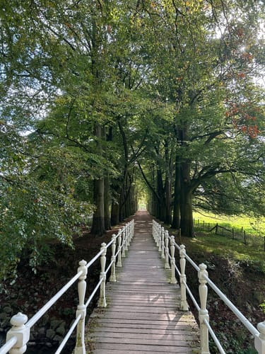 NS-Wandeling: Valkenburg aan de Geul