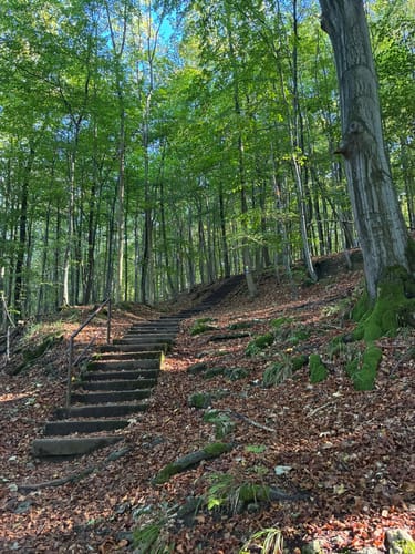 HO7 - Hohenstein Route