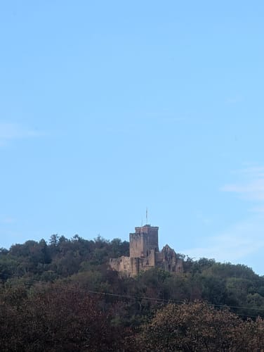 Durch den Grüttpark