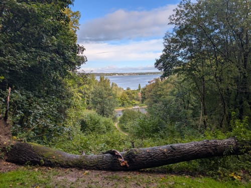 Flensburg: Stadium, Blasberg und Hafen