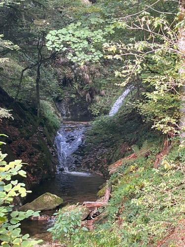 Ortenauer Sagenrundwege: Allerheiligen