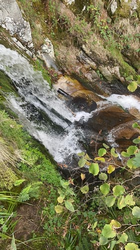 Ortenauer Sagenrundwege: Allerheiligen