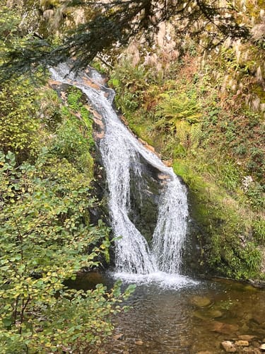 Ortenauer Sagenrundwege: Allerheiligen