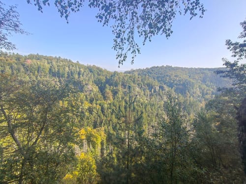 Malerweg Etappe 3: Hohnstein - Altendorf