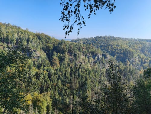Malerweg Etappe 3: Hohnstein - Altendorf