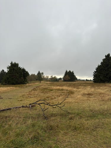 Kahler-Asten-Steig (Premiumwanderweg)