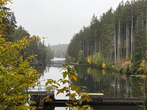 Alte Tambacher Talsperre Rundwanderung