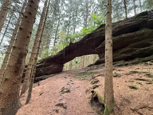 Alte Tambacher Talsperre Rundwanderung