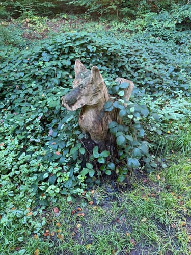 Rund um Glücksburg