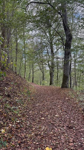 Daun – Rund um die Kraterseen