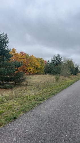 Tour um den Goitzschesee
