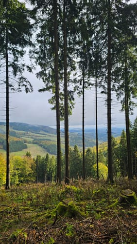 Auf den Kahlen Pön