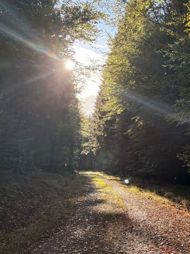 Hunnenringweg