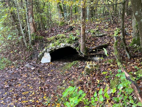 Walkenried - Sachsenstein - Kranichteiche