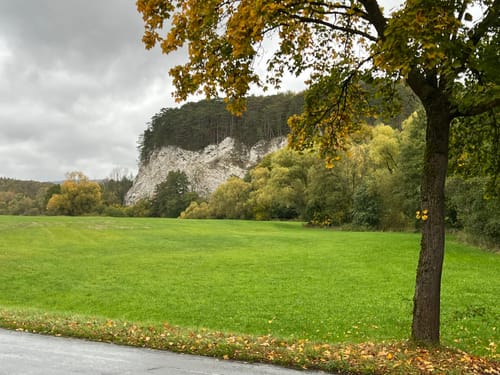 Walkenried - Sachsenstein - Kranichteiche