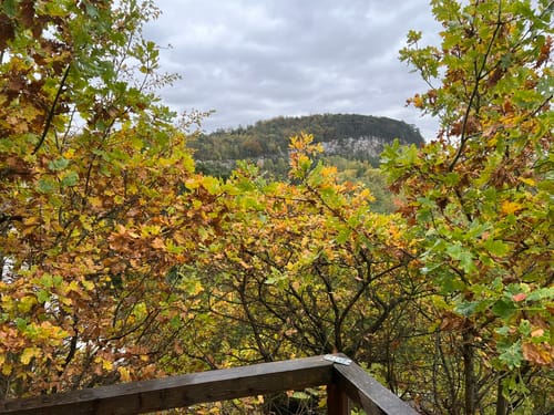 Walkenried - Sachsenstein - Kranichteiche