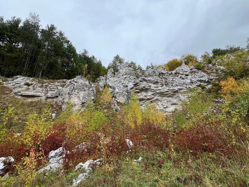 Walkenried - Sachsenstein - Kranichteiche