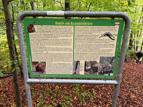 Walkenried - Sachsenstein - Kranichteiche