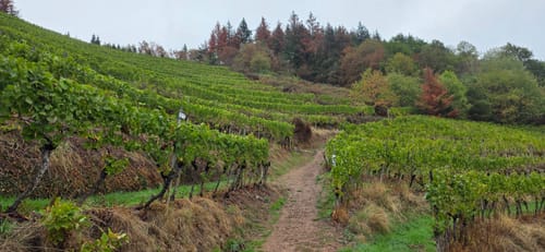 Gengenbach - Teufelskanzel - Abtsberg