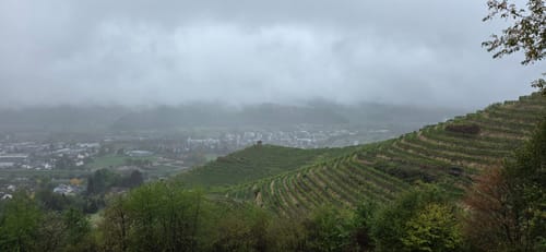 Gengenbach - Teufelskanzel - Abtsberg