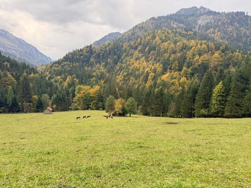 Schrecksee ab Auele