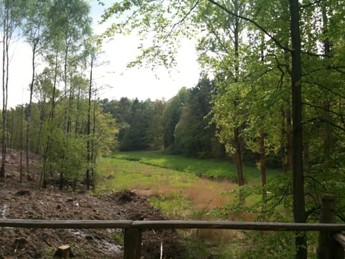 Naherholungsgebiet Eibia/Lohheide ab Cordinger Mühle