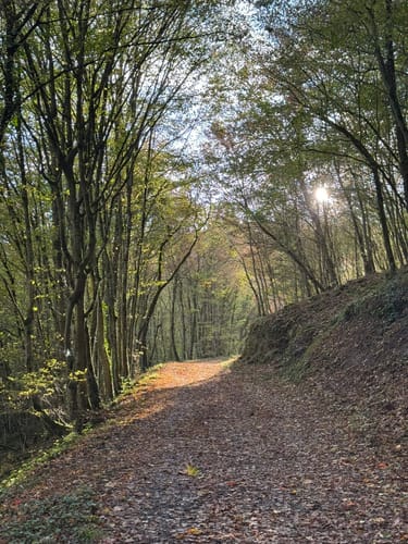 Von Keldung zur Burg Eltz