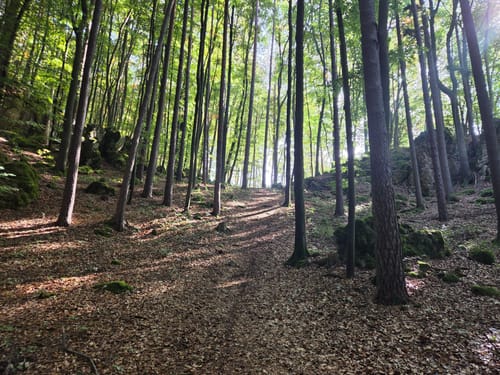 Kirchenreinbach - Schmidtstadt - Hauseck