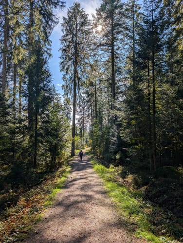 Kniebiser Heimatpfad (Genießerpfad)