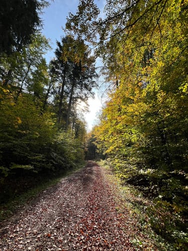 Therapeutischer Wanderweg