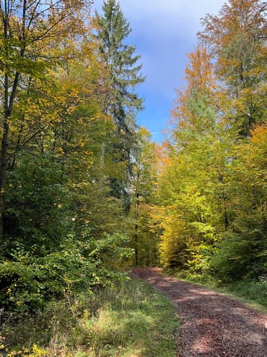 Therapeutischer Wanderweg
