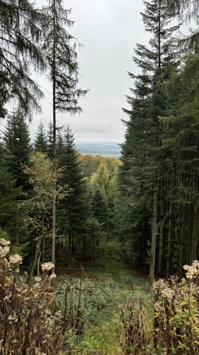 Externsteinen und Falkenburg Rundwanderung